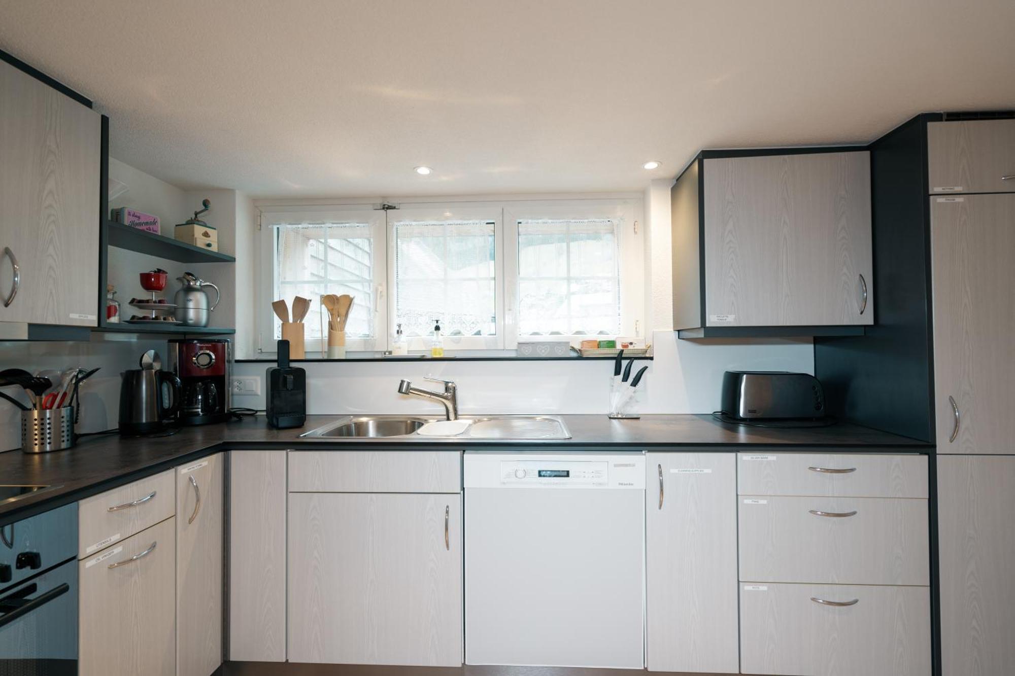 Large Apartment 8Beds Great For Family And Friends, Mountain View Amden Kültér fotó